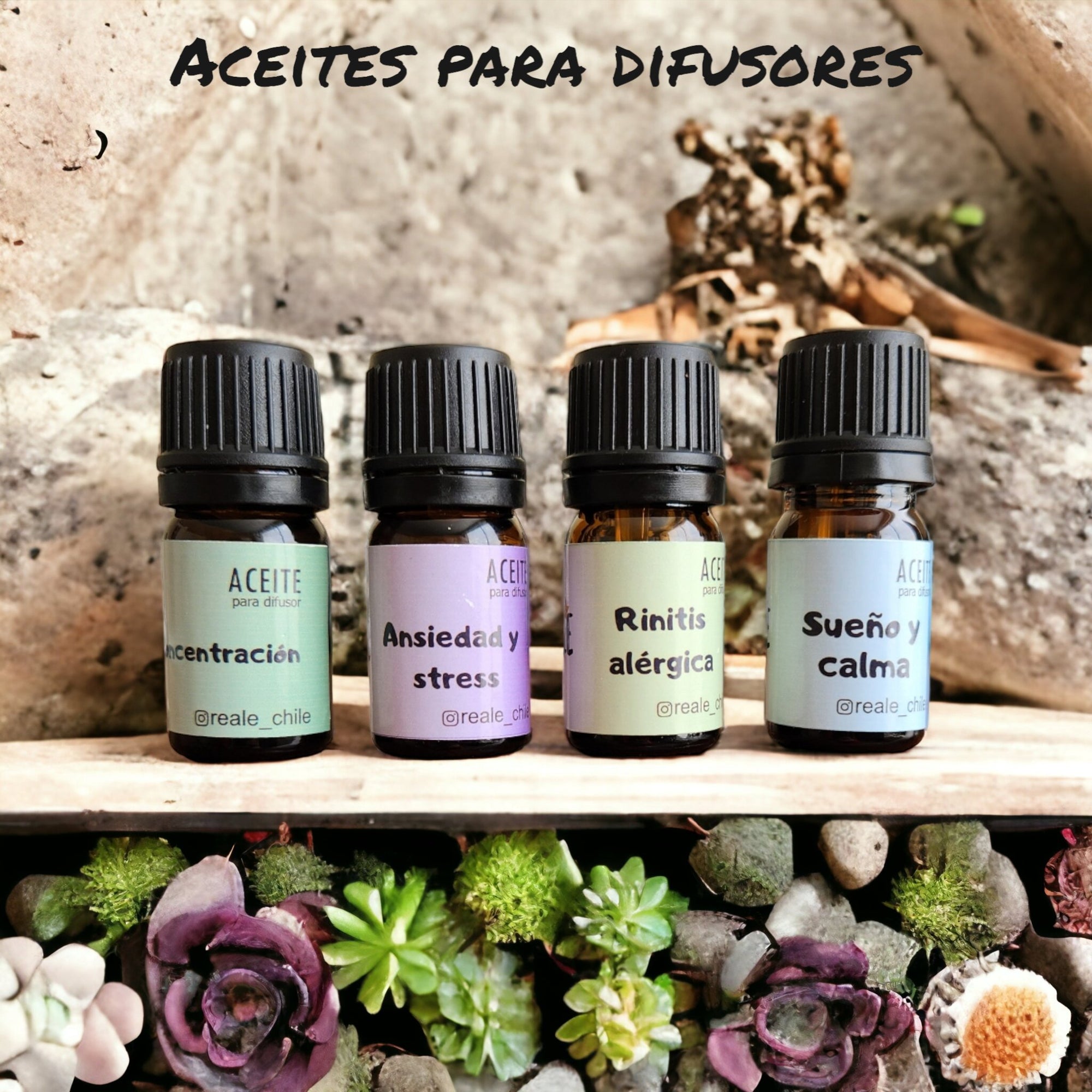 Aceites para Difusores